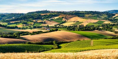 marche
